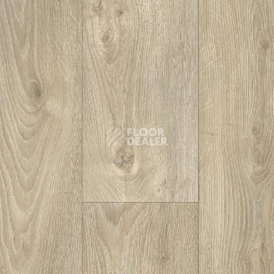 Линолеум IVC Greenline SHELDON OAK W31 фото 1 | FLOORDEALER